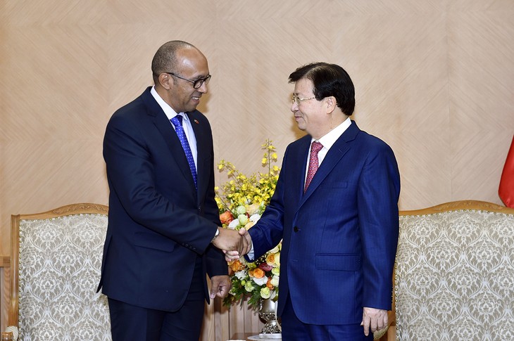 Deputy Prime Minister urges joint governmental Vietnam–Cuba cooperation - ảnh 1