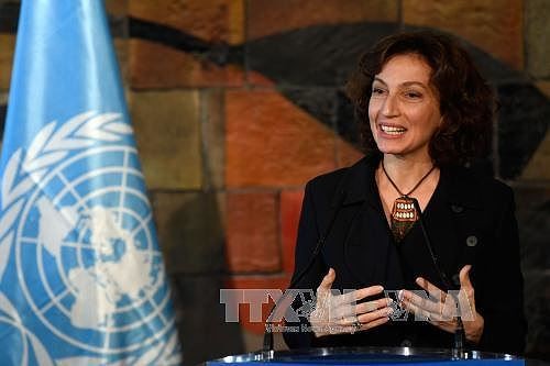 Audrey Azoulay to take office as UNESCO Director-General - ảnh 1
