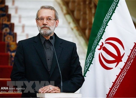 Parliament Speaker of Iran visits Vietnam  - ảnh 1