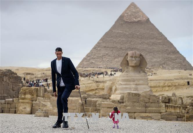 Egypt promotes tourism in Arab market   - ảnh 1