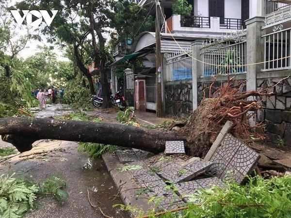 Storm Noul weakens into tropical depression after wreaking havoc on central Vietnam - ảnh 1