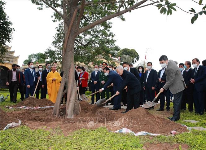 Party chief and President pays tribute to King, plants tree at Thang Long Imperial Citadel  - ảnh 2
