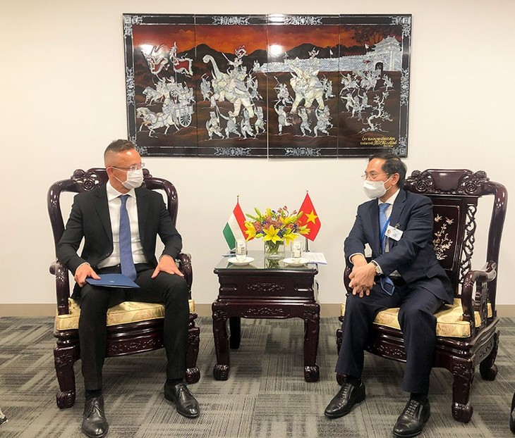 Vietnam Foreign Minister holds bilateral meetings on UN General Assembly sidelines - ảnh 3