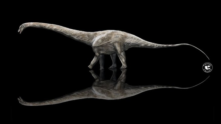Longest dinosaur that ever lived on Earth might be 42m long  - ảnh 1