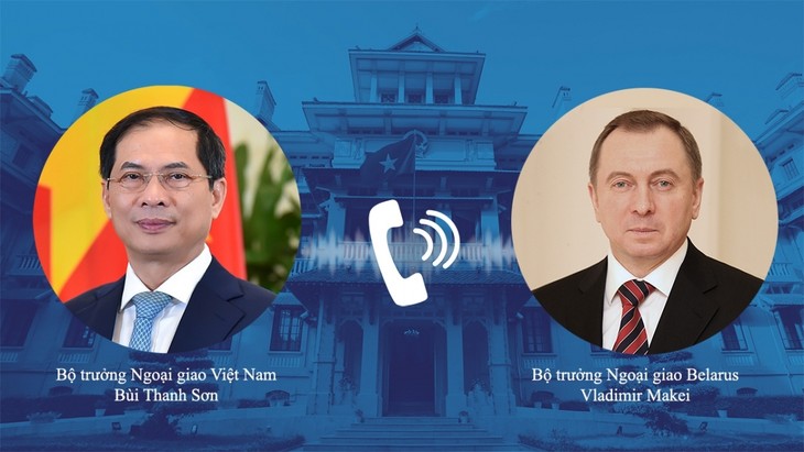 FM affirms Vietnam's consistent stance on settling international disputes by peaceful means - ảnh 1
