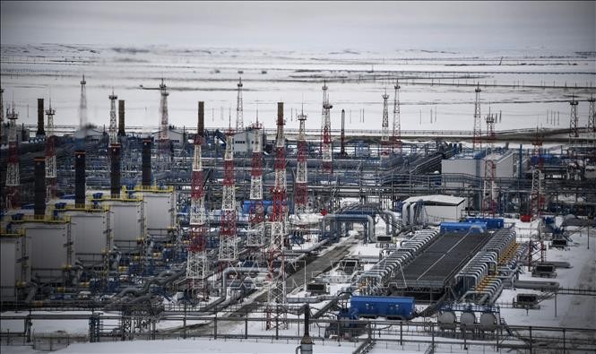 Russia halts gas supplies to Poland and Bulgaria  - ảnh 1