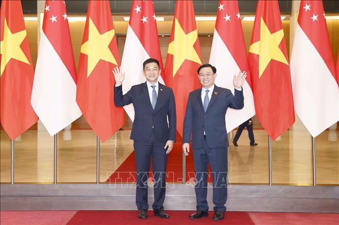 Vietnam, Singapore enhance parliamentary cooperation  - ảnh 1