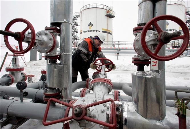 Russia says it continues supplying gas to Serbia - ảnh 1