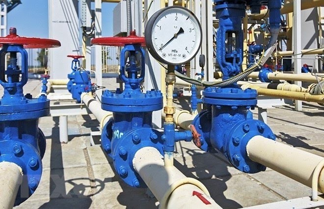 Russia suspends gas supplies through Turkey Stream pipeline - ảnh 1