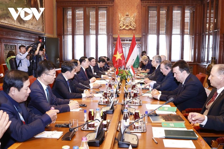 Top legislators of Vietnam, Hungary call for further friendship, cooperation  - ảnh 1