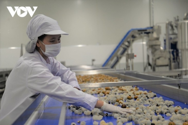 Vietnam aims to become world's top 10 agricultural processing center by 2030 - ảnh 1