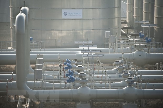 Will Europe achieve its target of cutting natural gas demand 15%? - ảnh 1