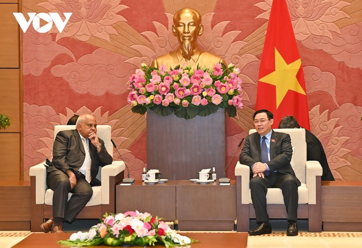 Vietnam values relations with Cuba and Russia  - ảnh 1