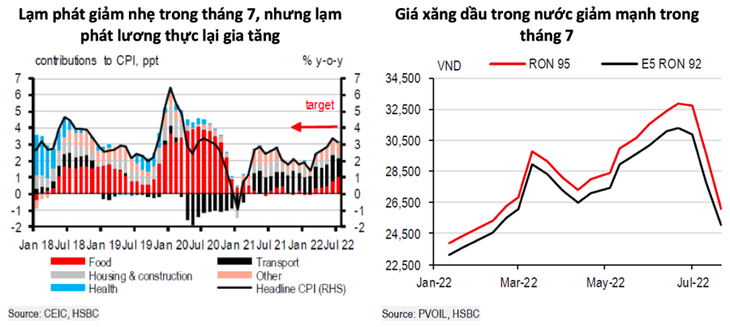 HSBC projects positive outlook of Vietnam's economy  - ảnh 1