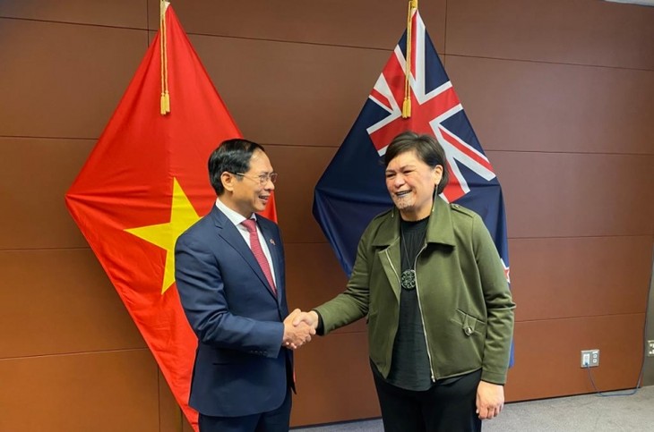 Vietnam and New Zealand FMs discuss deepening bilateral ties - ảnh 1