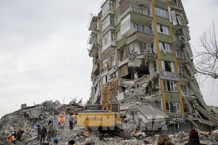 Turkey's president vows to accelerate reconstruction efforts  - ảnh 1