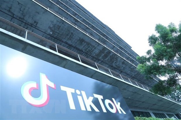 Western countries ban TikTok on government devices - ảnh 1