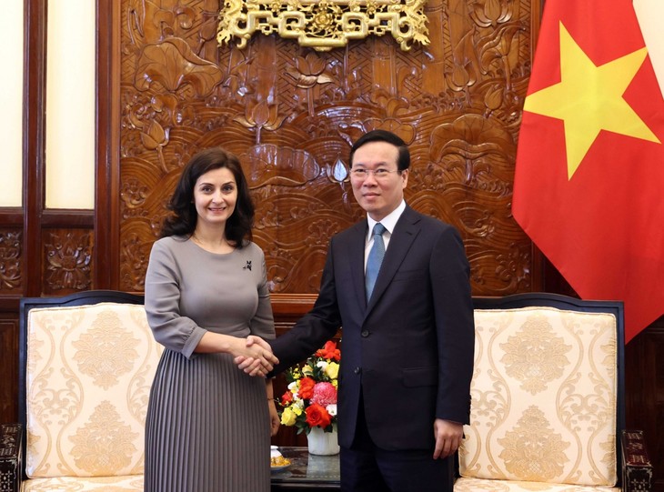President Vo Van Thuong receives Bulgarian Ambassador Marinela Petkova - ảnh 1