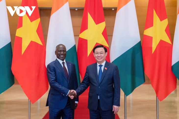 Vietnam values cooperation with Africa, says NA Chairman  - ảnh 1