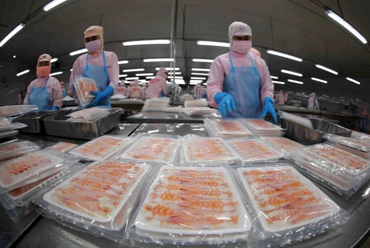 Vietnam’s seafood exports forecast to recover slightly - ảnh 1