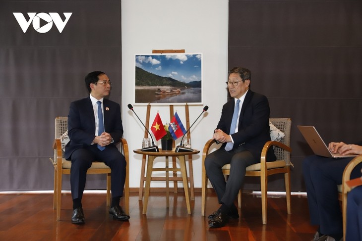 Vietnamese FM meets with Lao and Cambodian counterparts  - ảnh 2