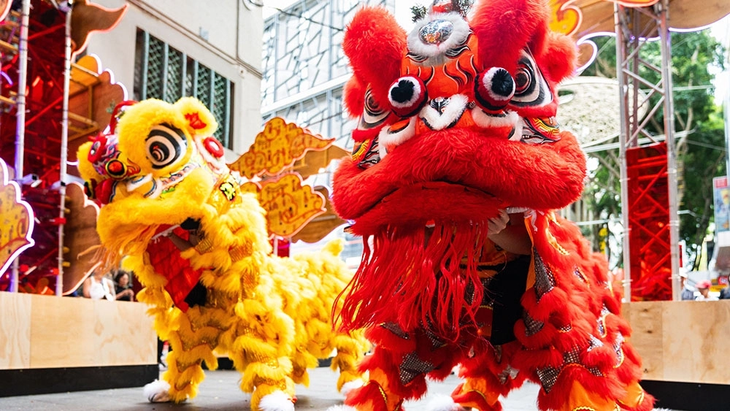 Lunar New Year festivities enliven Sydney in 16 days   - ảnh 1