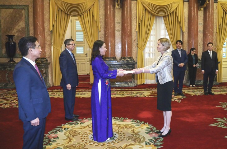 Acting President receives foreign ambassadors presenting credentials - ảnh 4