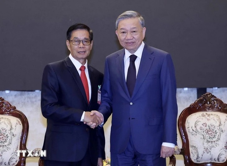 President meets Lao Front for National Construction chief, former leaders of Laos - ảnh 1