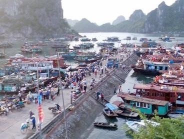 越南中国商会—搭建两国经贸往来的桥梁 - ảnh 1