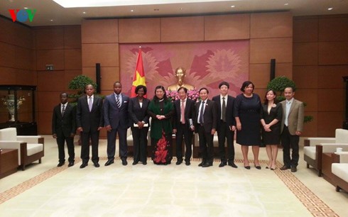 越南国会同莫桑比克议会加强合作 - ảnh 1