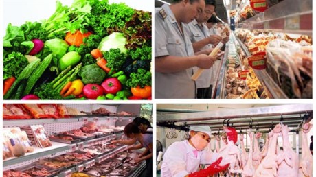 越南国会讨论2011至2016年阶段食品安全政策法律落实情况  - ảnh 1