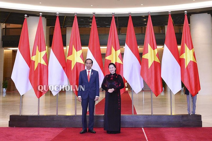 越南国会主席阮氏金银会见印度尼西亚总统佐科 - ảnh 1