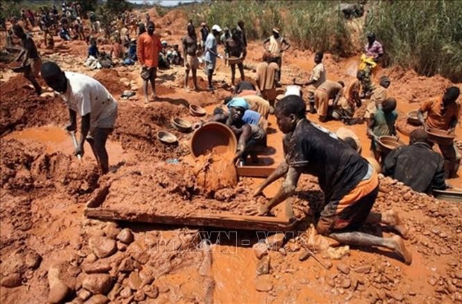 津巴布韦两矿场发生洪水淹井 致数十人死亡 - ảnh 1