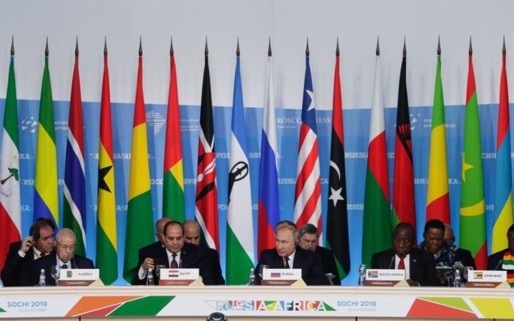 俄总统普京强调将优先发展与非洲各国关系 - ảnh 1