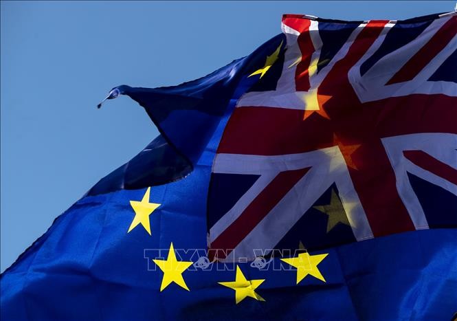 欧盟一致同意成立没有英国代表的欧盟委员会 - ảnh 1