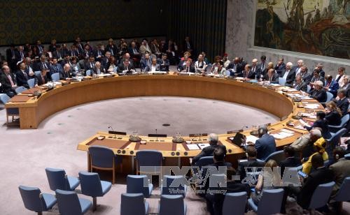 СБ ООН принял резолюцию по пресечению финансирования ИГ - ảnh 1
