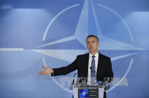 НАТО хочет возобновить переговоры с Россией - ảnh 1