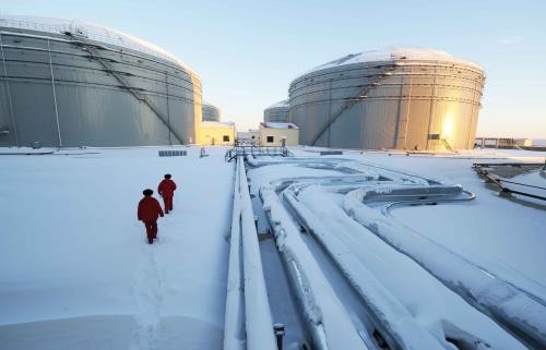 ОПЕК и крупные производители нефти проведут переговоры по стабилизации цен на нефть - ảnh 1