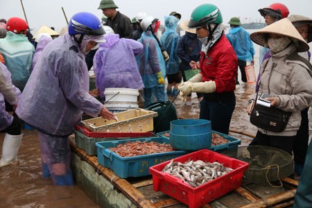 Утро на рынке морепродуктов Зяохай в провинции Намдинь - ảnh 4