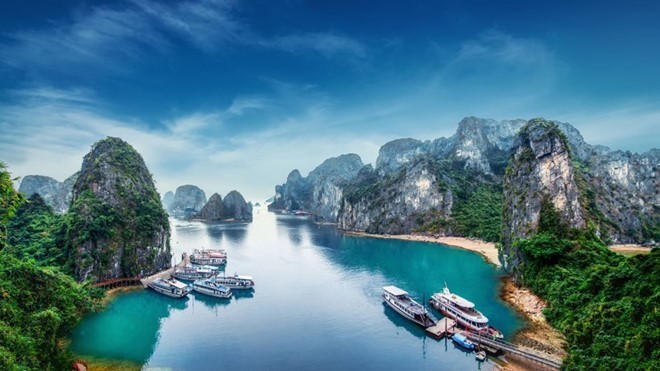 Вьетнам является одним из самых любимых мест посещения россиянами - ảnh 1