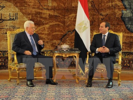Египет и Палестина обсудили процесс перемирия на Ближнем Востоке - ảnh 1