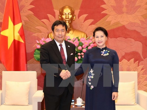 Вьетнам желает развивать и углублять всесторонние отношения с Японией - ảnh 1