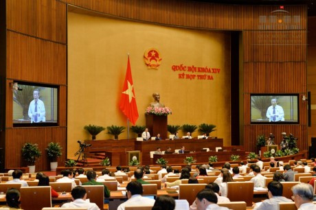 Парламент Вьетнама одобрил важные законопроекты и постановления - ảnh 1