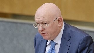 Назначен новый постоянный представитель России при ООН - ảnh 1
