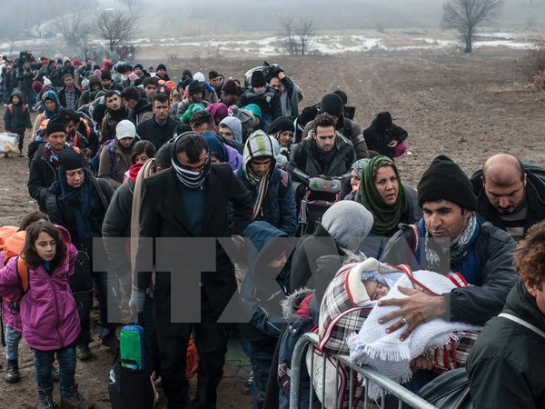 Германия продолжает депортацию афганских мигрантов - ảnh 1