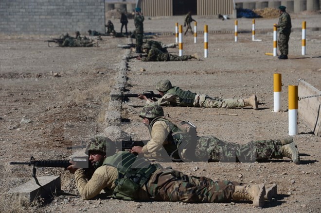 Беспилотники НАТО уничтожили 18 боевиков ИГИЛ в Афганистане - ảnh 1