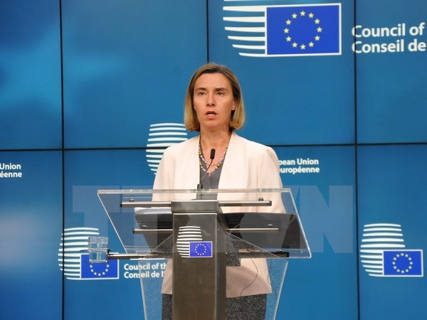 ЕС выражает соболезнования в связи с ущербом, нанесенным тайфуном Дамри во Вьетнаме  - ảnh 1