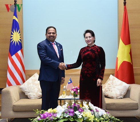 Нгуен Тхи Ким Нган приняла парламентские делегации Индонезии и Малайзии - ảnh 1