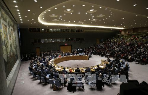 В ГА ООН возобновлены переговоры по реформе Совбеза ООН - ảnh 1