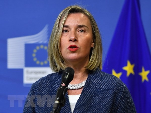 ЕС представил план действий по повышению военной мобильности в Европе - ảnh 1